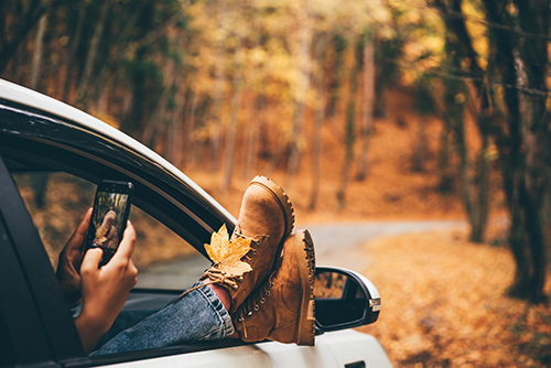 Lallis & Higgins Insurance - Fall Road Trips