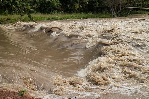 Lallis & Higgins Insurance - Flash Flood