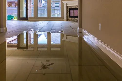Lallis & Higgins Insurance - Does Home Insurance Cover Natural Disasters?