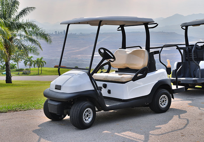 Lallis & Higgins Insurance - Golf Cart Guide