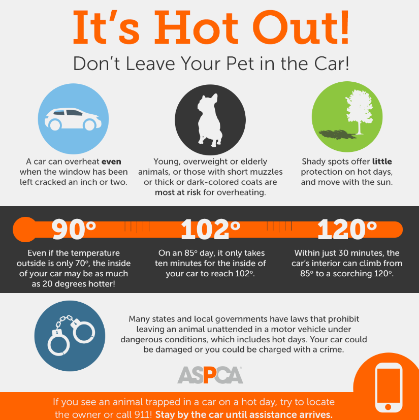 Lallis & Higgins Insurance - Hot Weather Safety